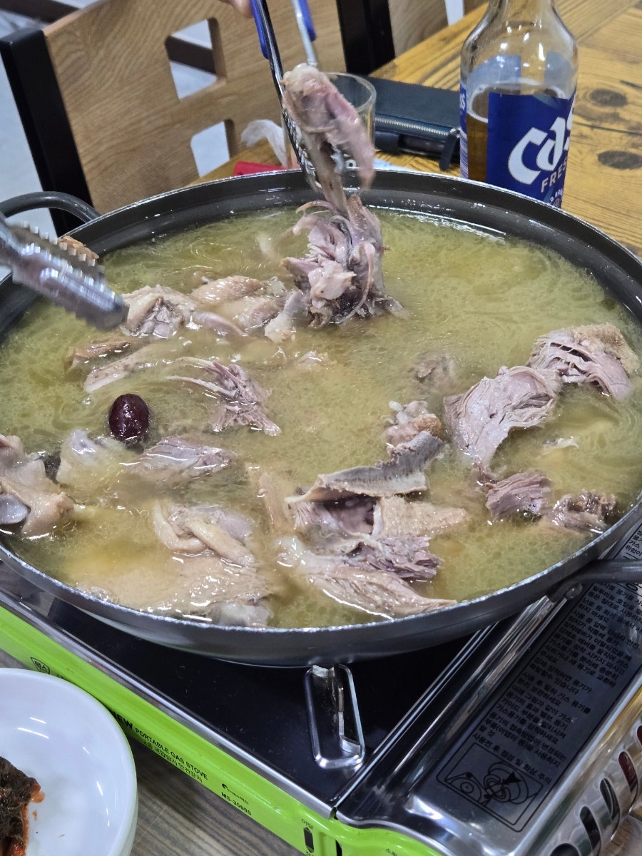 토함산 황금오리 사진 5