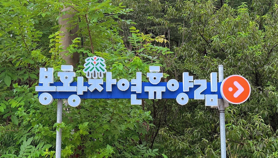봉황자연휴양림 사진 2
