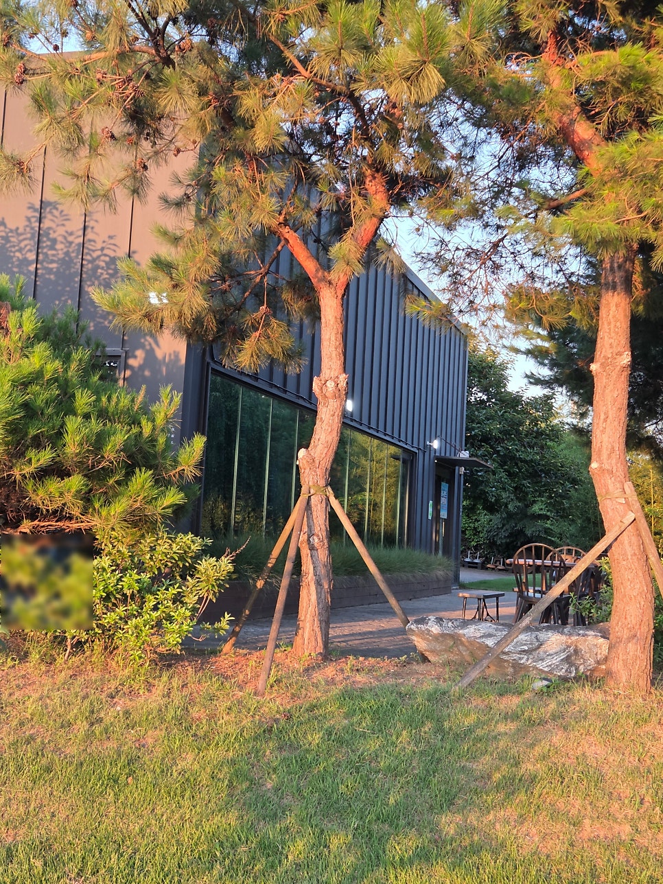 노을 사진 4