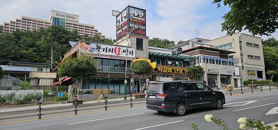 단양쏘가리 사진 3