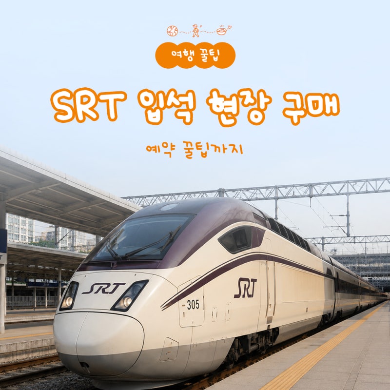 SRT 입석 현장 구매 방법, 예약 꿀팁