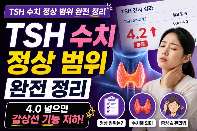 TSH 수치 정상 범위 완전 정리 — 4.0 넘으면 갑상선 기능 저하입니다.
