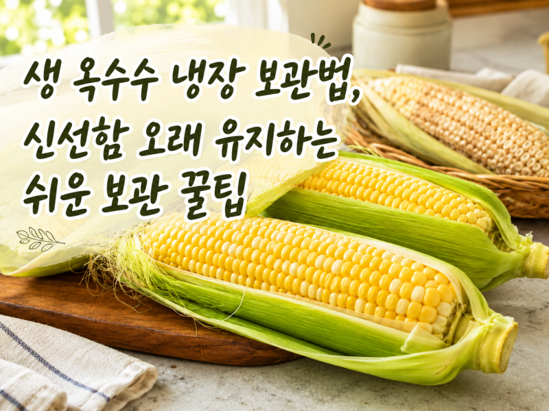 생 옥수수 냉장 보관법, 신선함 오래 유지하는 쉬운 보관 꿀팁