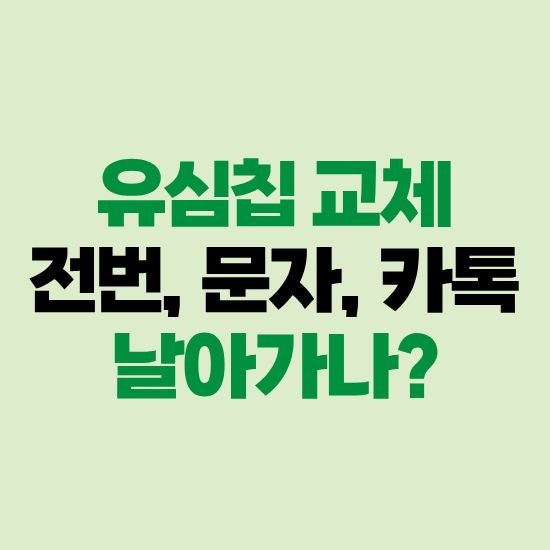 유심칩 교체시 전화번호와 문자 카톡 사진은 어떻게 되나