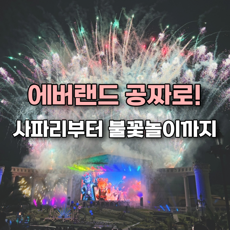 에버랜드 공짜로 다녀왔어요! 에버랜드 불꽃놀이 시간·명당부터 나이트 사파리까지 알찬 후....