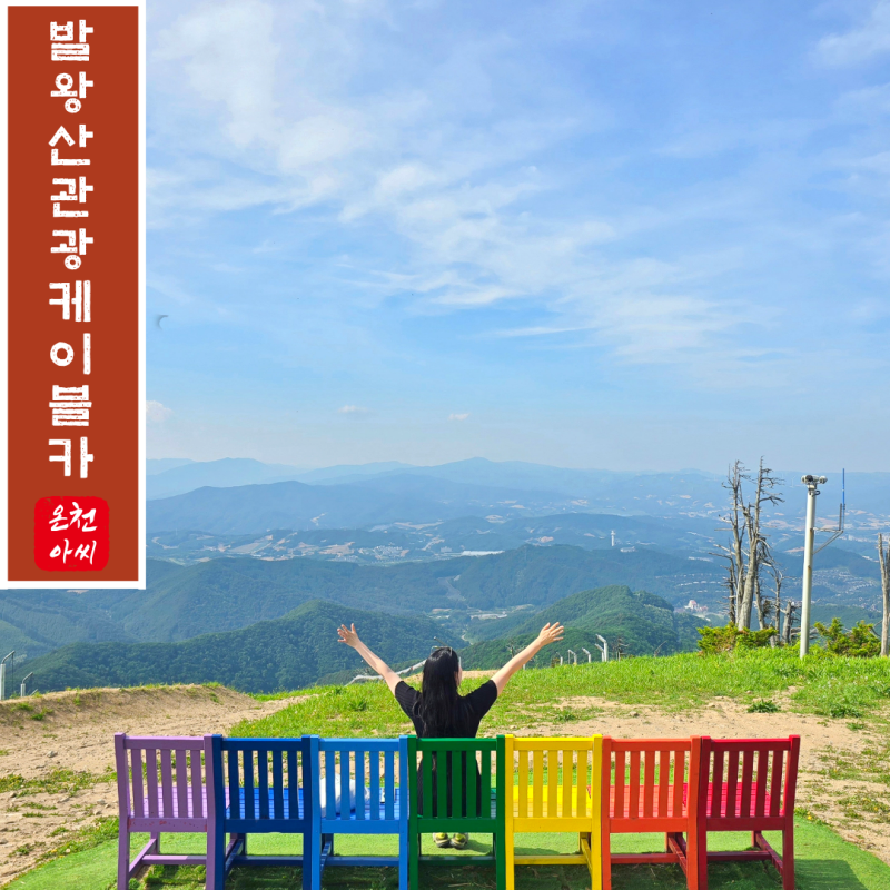 평창 힐링여행 발왕산 케이블카 타고만난 천년주목숲길과 스카이워크