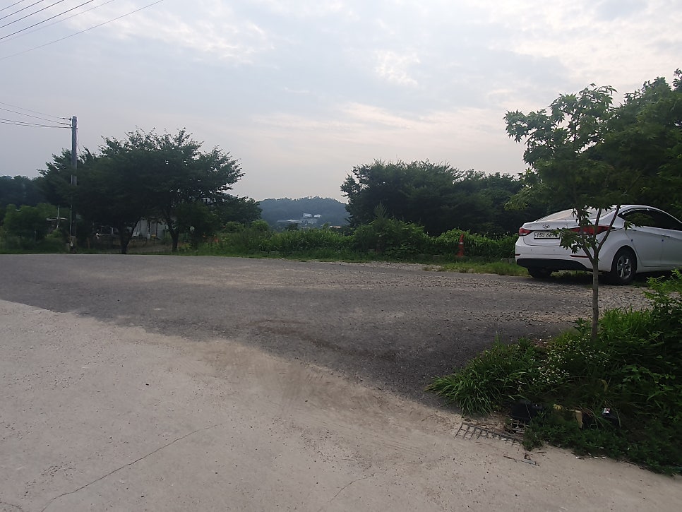 메밀꽃마을 사진 6