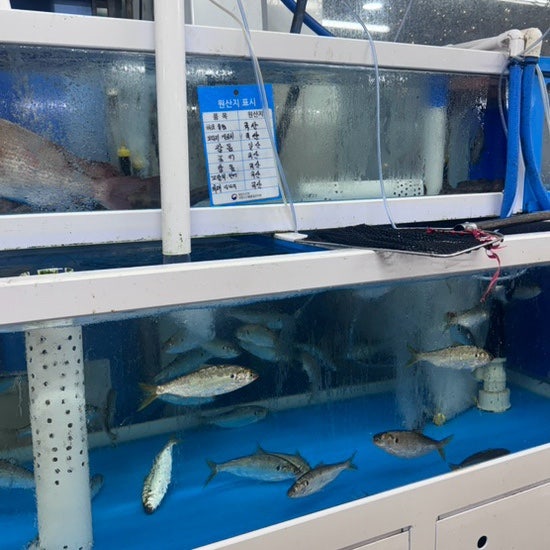 시장횟집 사진 3