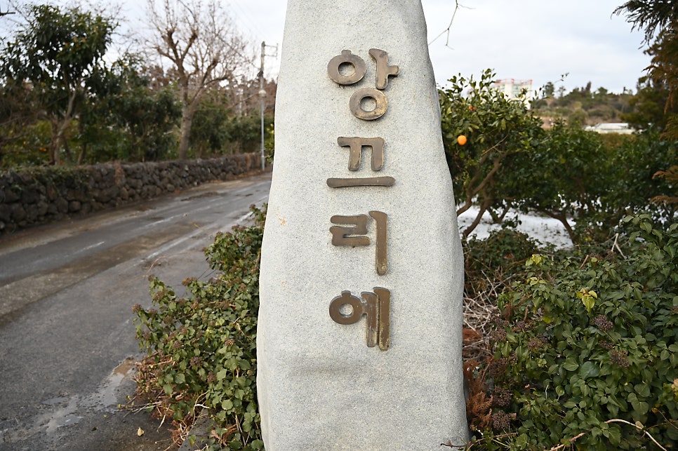 앙끄리에펜션 사진 6
