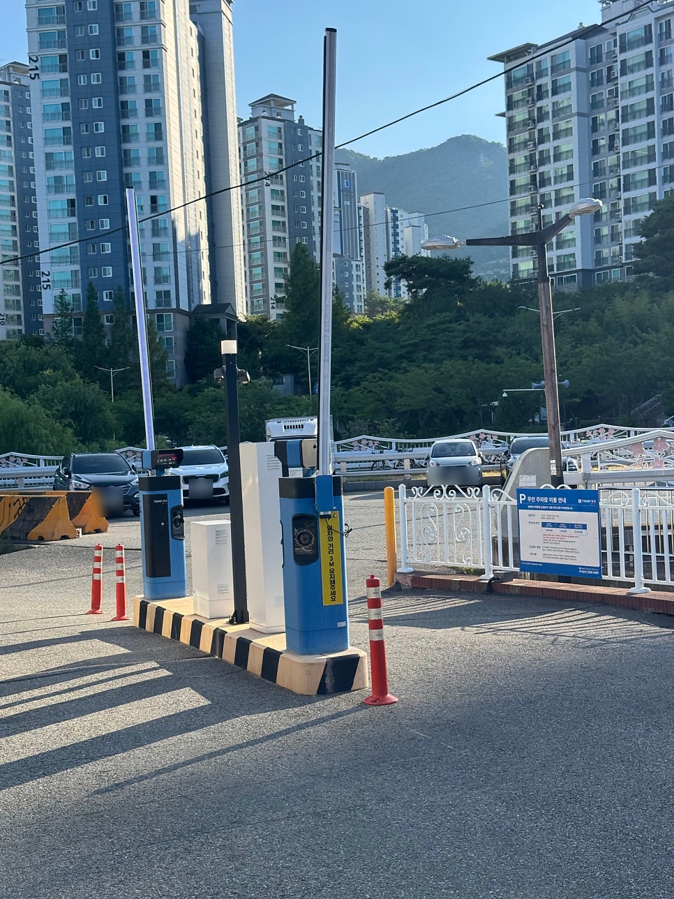 백세상황버섯삼계탕 사진 5