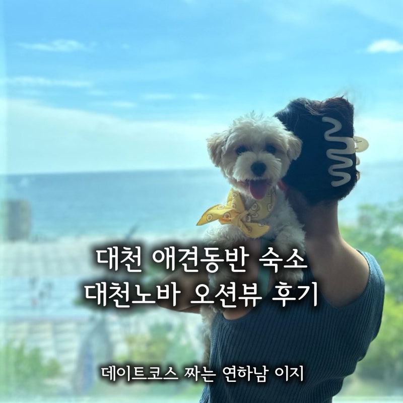 보령 대천 애견동반 숙소 노바모텔 오션뷰 반려견 동반 솔직 후기