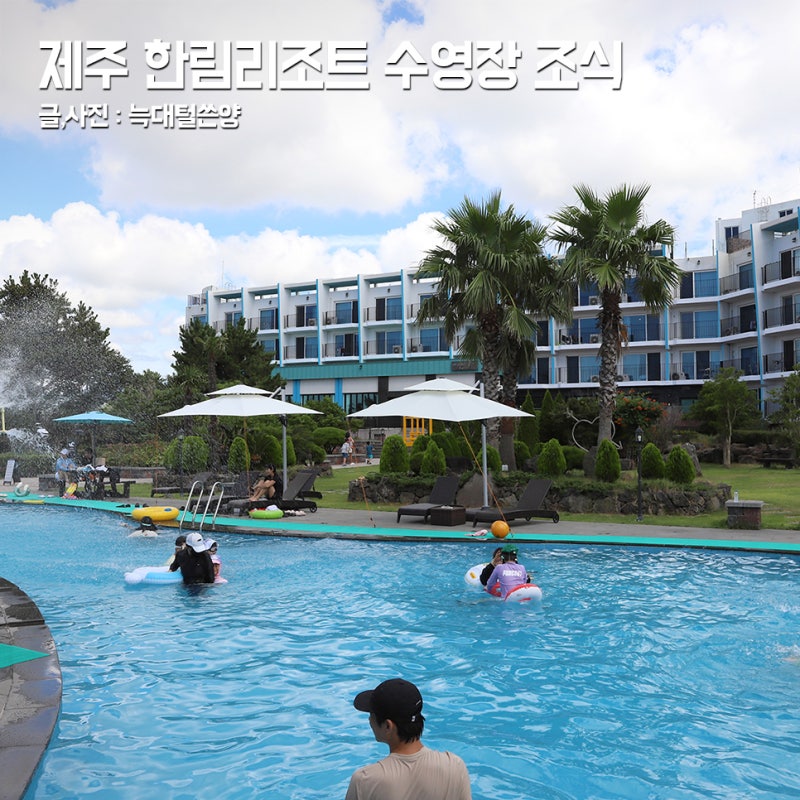 제주도 협재 가족 숙소 제주 한림 리조트 수영장 조식