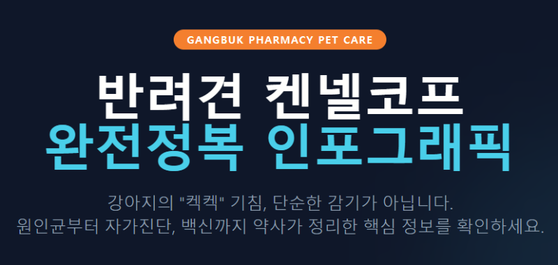 [반려견 켄넬코프 완전정복] 강아지 '켁켁' 기침의 원인부터 전염·치료·백신까지 총정리