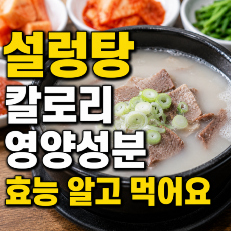 설렁탕 칼로리 영양성분 효능 알고 먹어요
