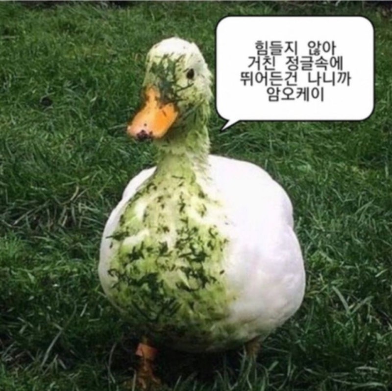 [일본 교환학생] 일본 교환학생 솔직한 후기(일본어 실력, 일본인 친구, 비용, 추천&비추천, ....
