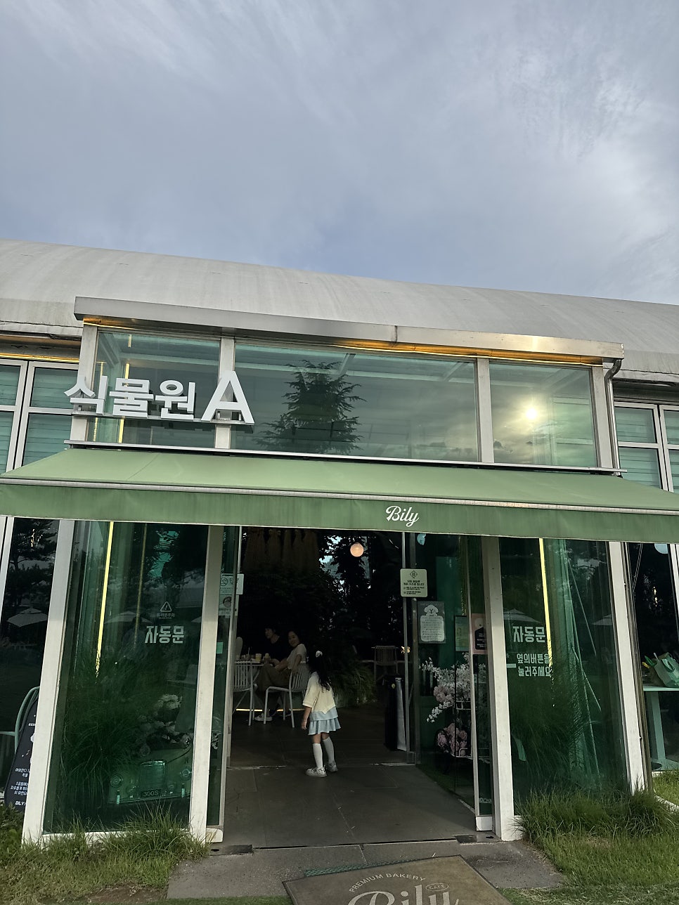 빌리 사진 4