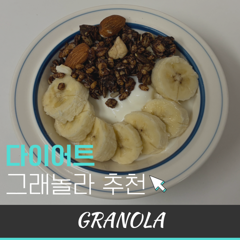 다이어트 그래놀라 추천 그릭요거트 꿀조합 저당 시리얼