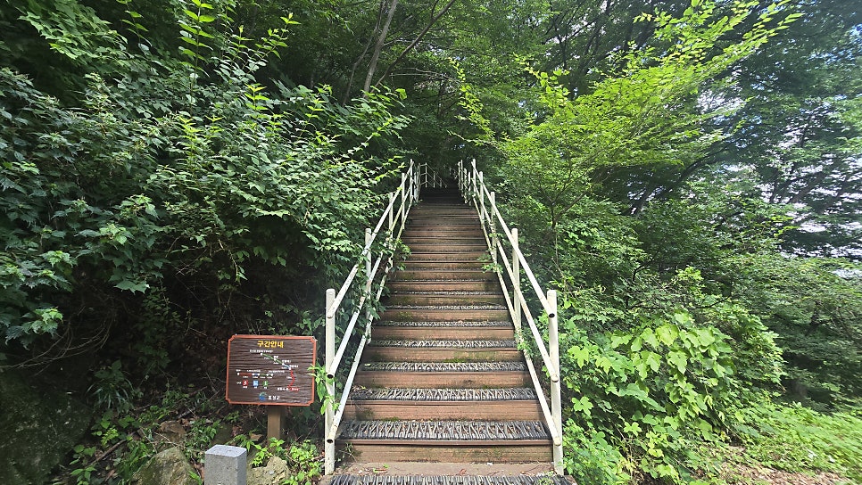 오서산 사진 5