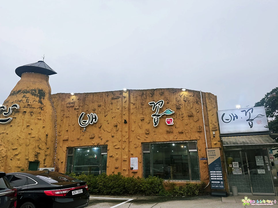 배꼽 사진 2