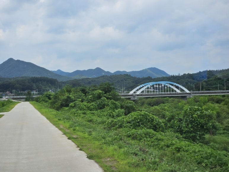 섬강 사진 4
