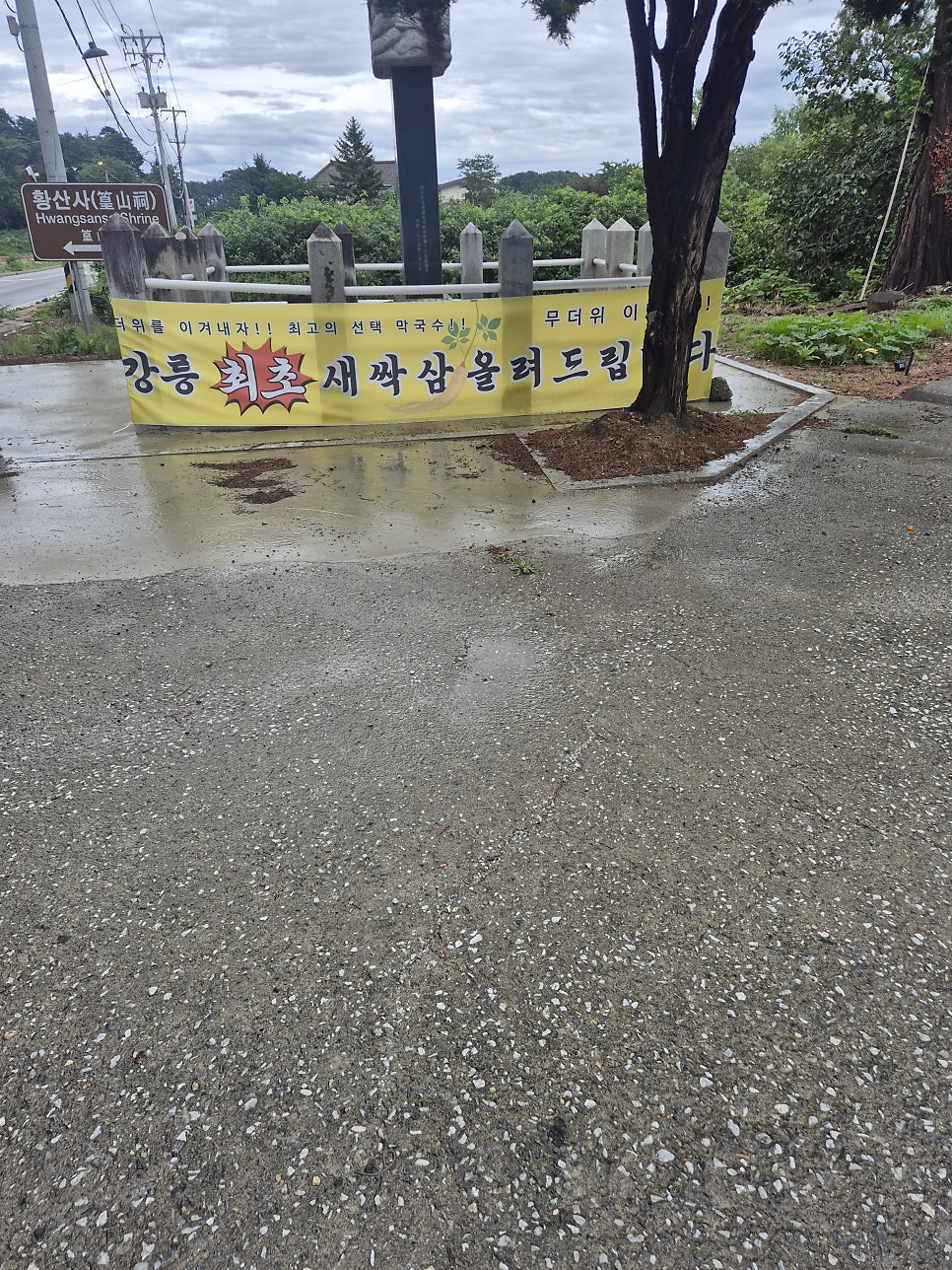 무네막국수 사진 2