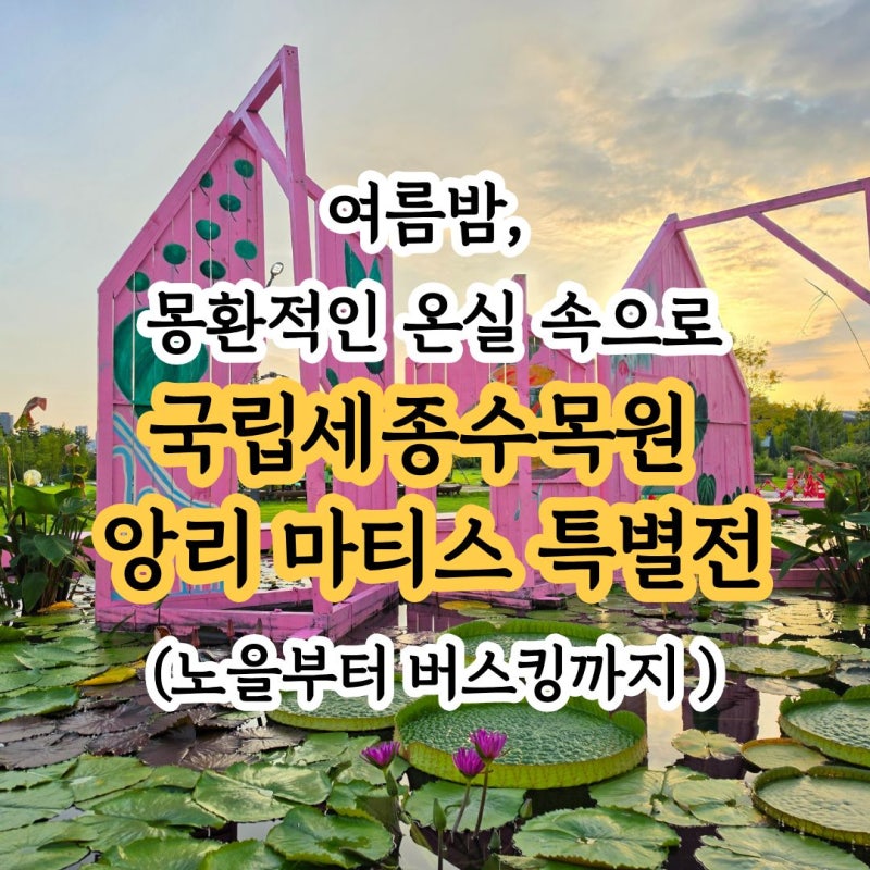 [세종] 국립세종수목원 야간개장 '앙리 마티스전' 예약·주차·스탬프 꿀팁 솔직 후기