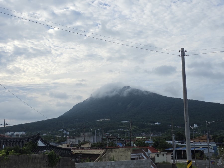 억불산 사진 2