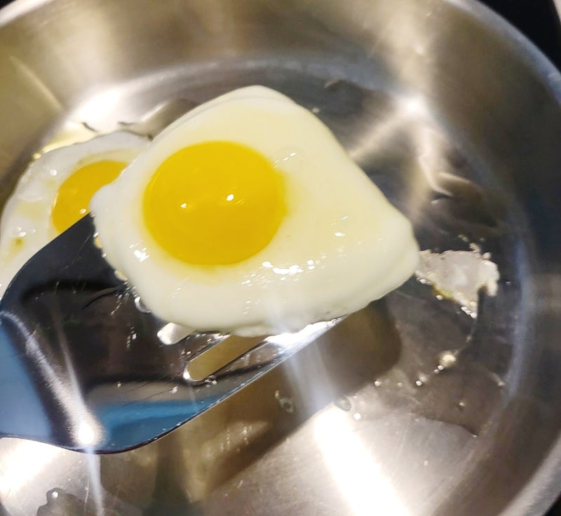 알텐바흐 디펜더스 원 딥소테팬 26cm 고른 이유 — 인덕션 화구 크기부터 재고 골랐다