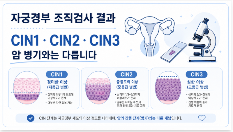자궁경부 조직검사 결과 해석, CIN1·CIN2·CIN3은 무슨 뜻일까?