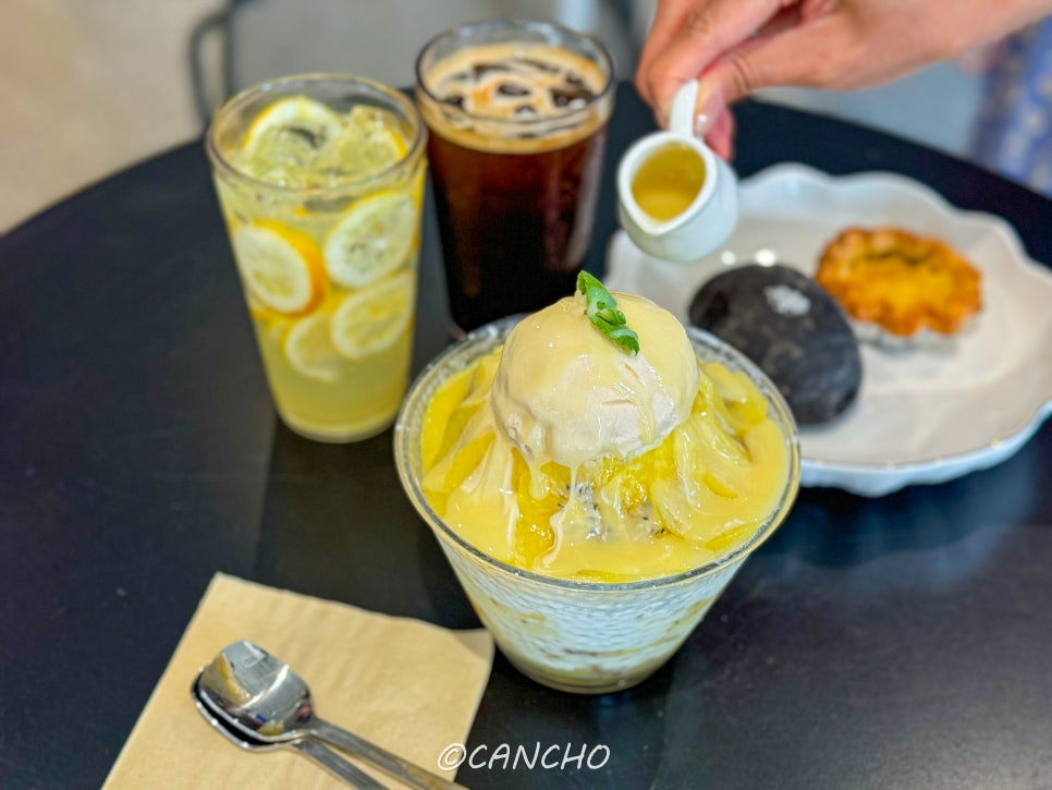 도쎄비다 사진 4