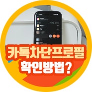 카톡 차단 프로필 비공개 당하면 카카오톡 "실사용 해봄"