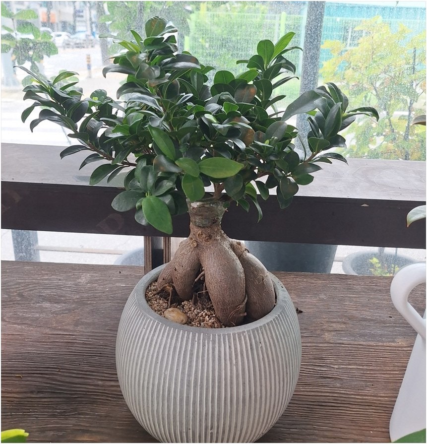 가람꽃화원 사진 3