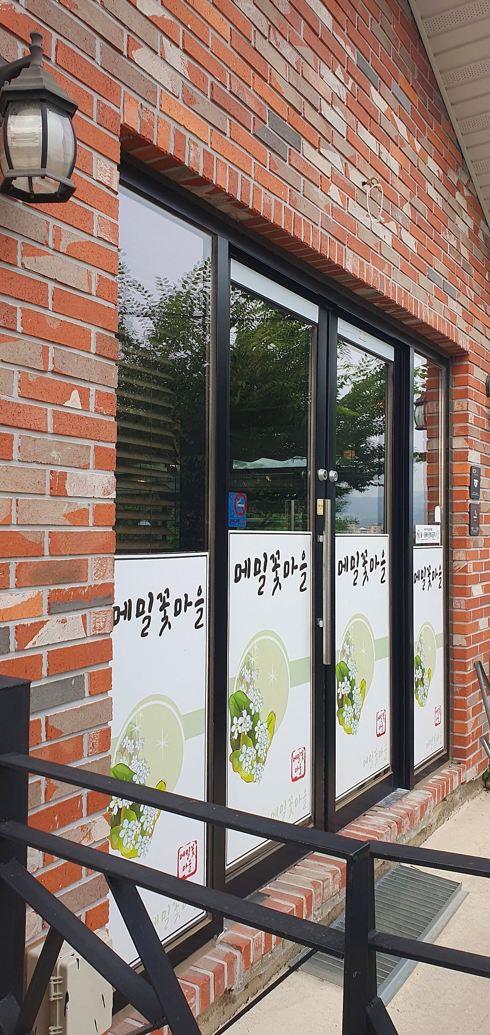 메밀꽃마을 사진 3