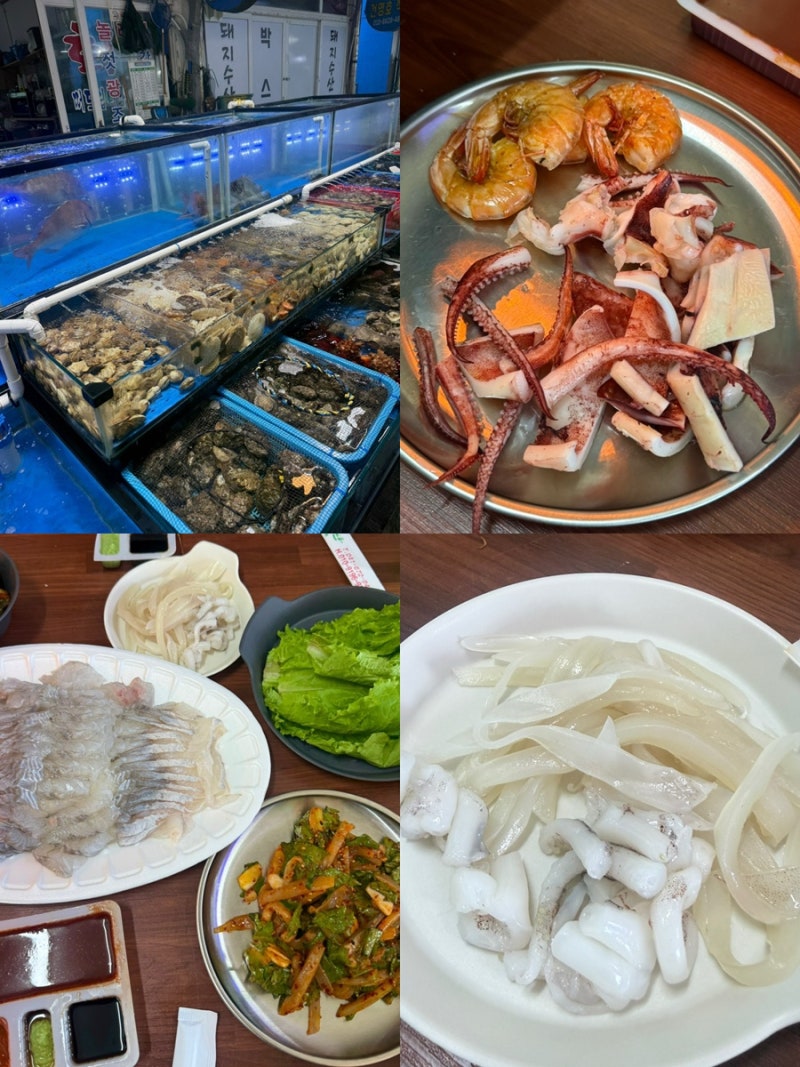태안 수산시장 추천 모항항 성게 오징어회 생새우회 농어회 맛집 튀김 벧엘수산 순환수산 금....