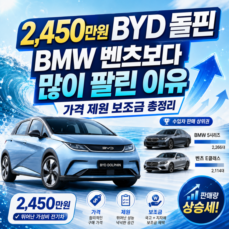 2,450만원 BYD 돌핀 BMW 벤츠보다 많이 팔린 이유 가격 제원 보조금 총정리