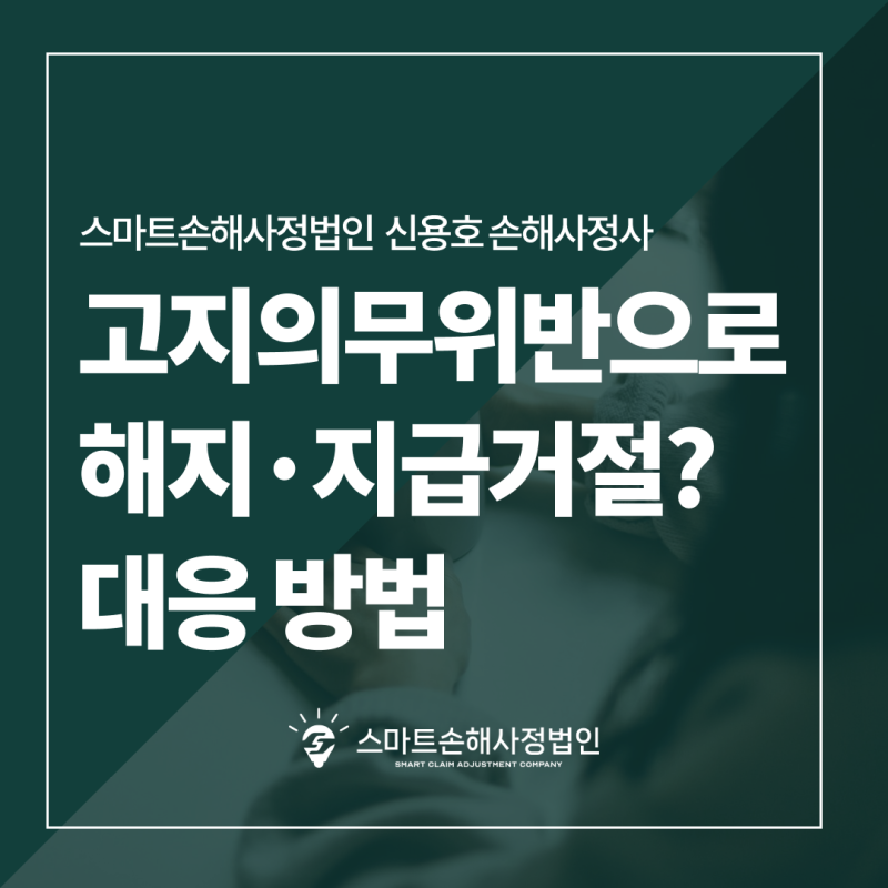 고지의무위반으로 보험금 지급 거절? 대응 방법 (부산 손해사정사 가이드)