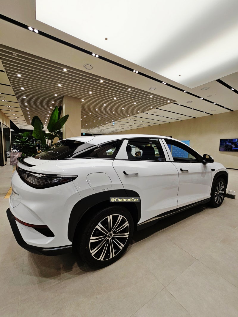 BYD 씨라이언7 시승기, 직접 타보고 느낀 솔직한 이야기