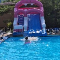 월드니스오토캠핑장 사진 5