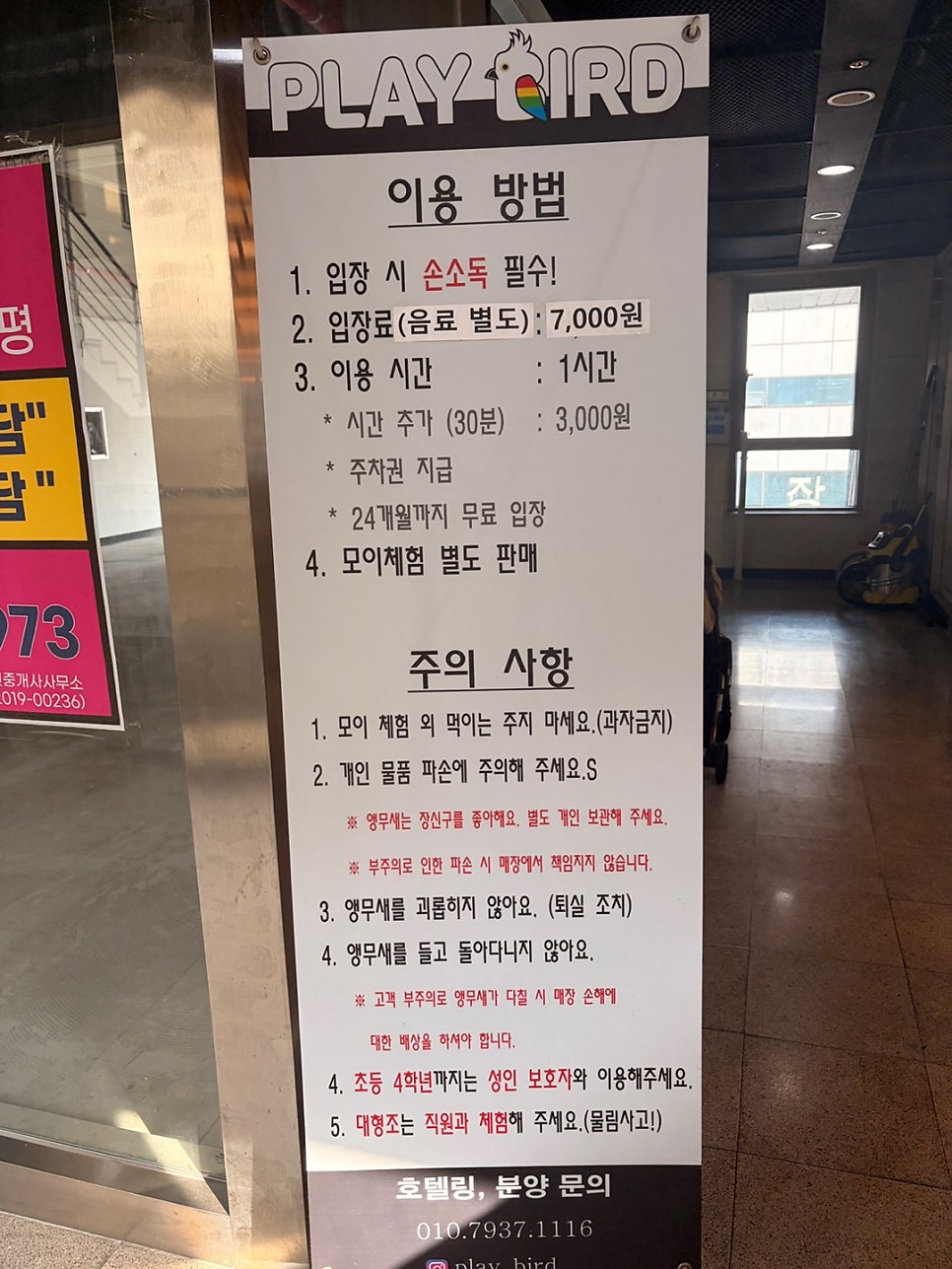 앵무새카페 플레이버드 사진 2