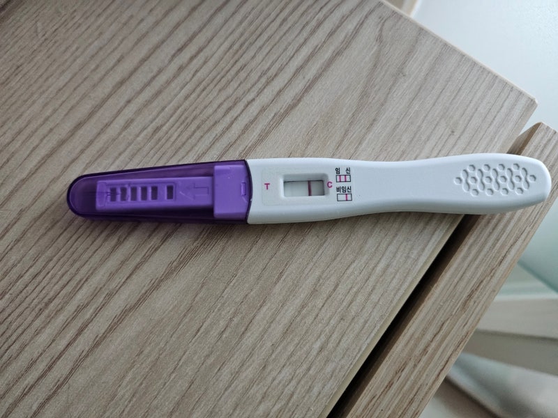 시험관 5일배아 이식 후 1일차~8일차 증상, 이식 후 임테기 진하기, 1차 피검사 결과