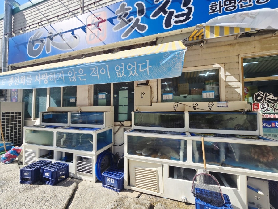 OK도매횟집 구남점 사진 3
