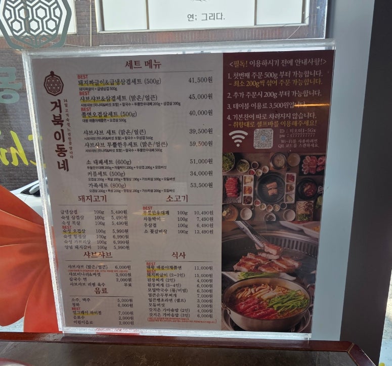 거북이 사진 2