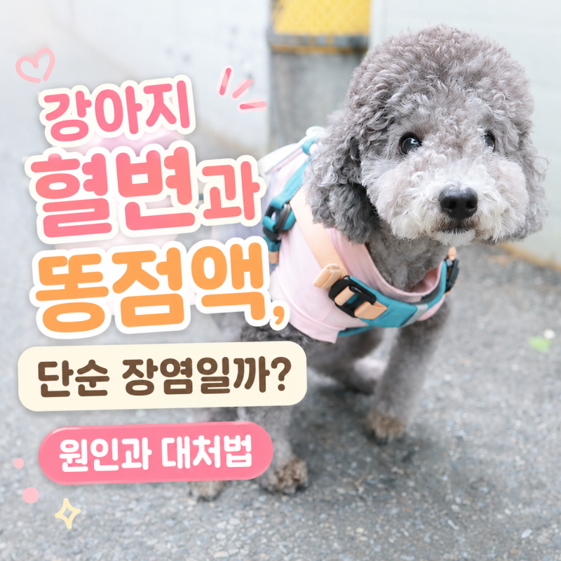 강아지 혈변과 똥점액, 단순 장염일까? 원인과 대처법