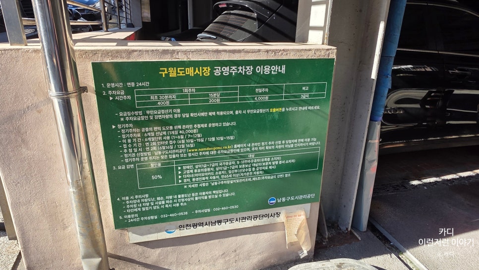 캠피 사진 4