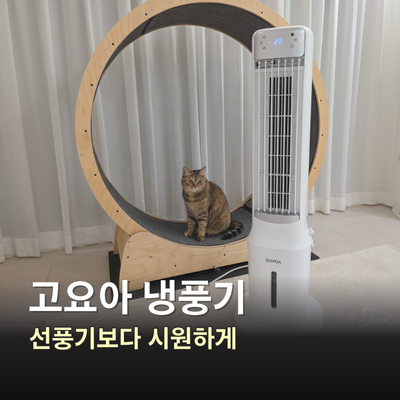 고요아 에어쿨러 냉풍기 추천, 조용하고 시원한 냉선풍기