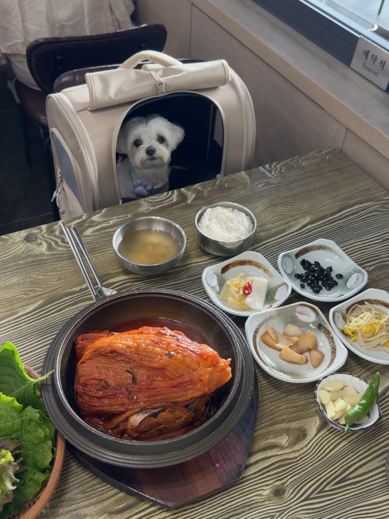 제주 애월 애견동반 식당 찾는다면? 강아지 실내 입장 가능한 여기로
