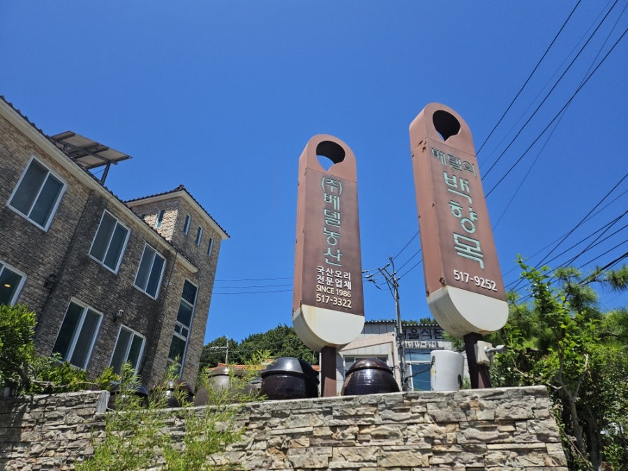 백향목 사진 1