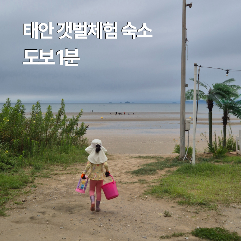 Taean Tidal Flat Experience Accommodation Recommendation: Review of Palm Beach Pension near Cheongpodae Beach with Kids (Free Experience Tools)