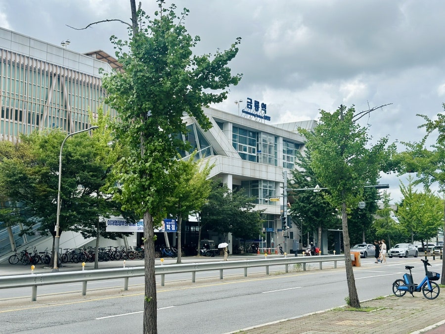 파주샤브칼국수 사진 3