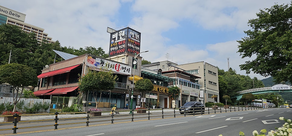 단양쏘가리 사진 2